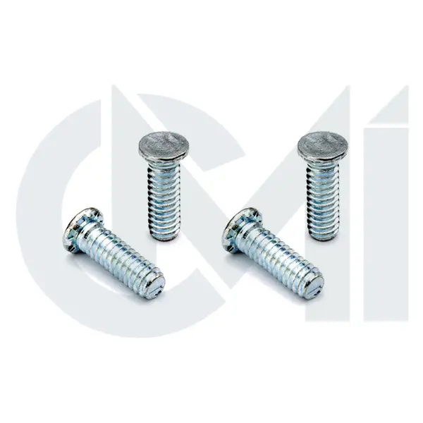 Clinch Screws